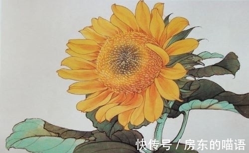 古诗@欣赏十首古人的葵花诗,不看不知道,这都是写的向日葵吗