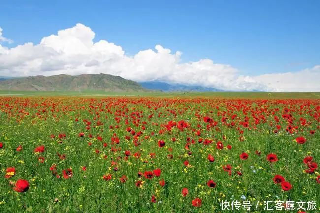 厦门|8个国内五月最美的地方，别辜负了这么美的初夏！