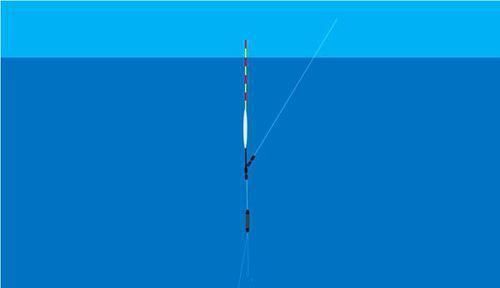 双钩|调漂技巧:调平水钓2目,双钩和子线在水底是个什么状态?