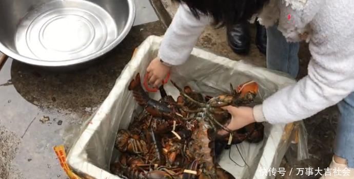 妹子上拼多多买“大虾”,12只花了300元,切开后在搞笑吧