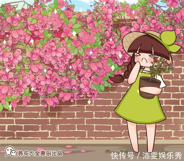 5种花越养越上瘾,只要养好一盆,就会特别喜欢