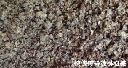 月季长得好不好配土很关键,这种配土方法比买的营养土都好用!