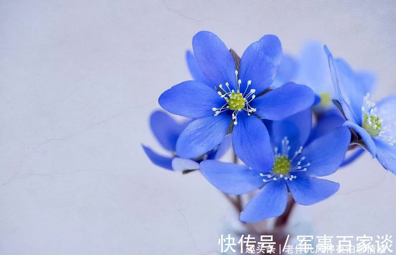 心态|熬过人生4大坎,必成大器!早懂早受益