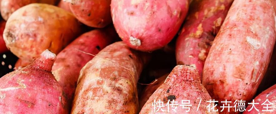 存放|红薯保存很简单!不用地窖,教你3招,红薯不烂不发霉,越放越甜