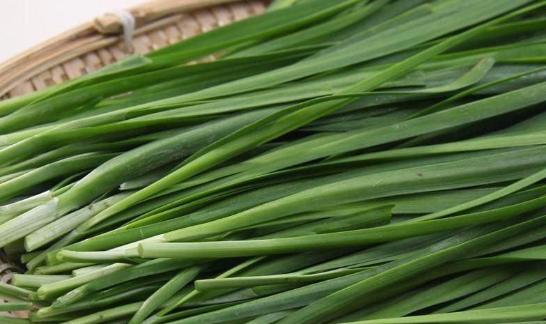 韭菜|韭菜和它是天生的“死对头”,不能一起食用,早知早受益