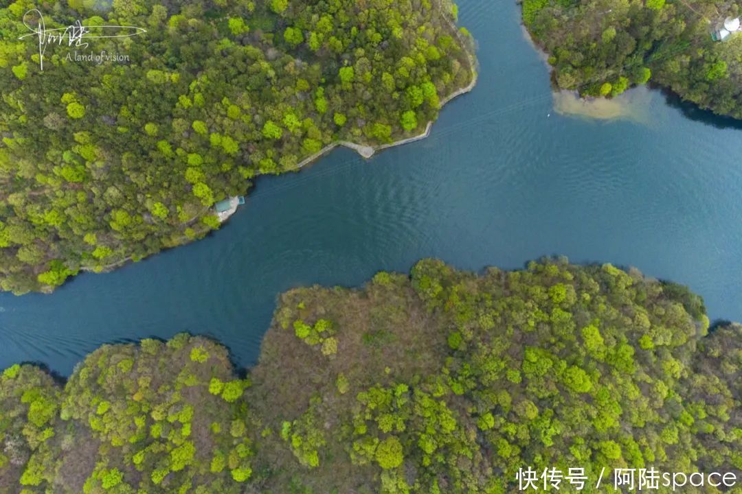 如果你有个“飞天”梦想，可以到武汉的这个五A景区里轻松实现