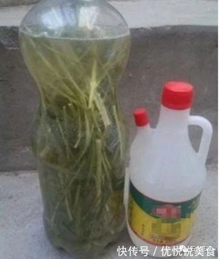 养花土成“硬土块”,加3种“松土剂”,很快变松软,养啥花都旺