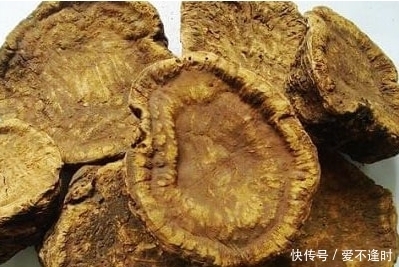 大黄|大黄的功效与作用,大黄的用法用量,大黄性味归经