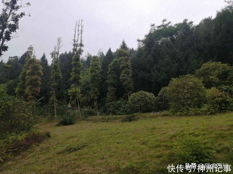 蓬安|逛游百牛赞歌广场，这里风景独好