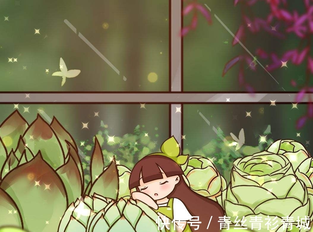 香味|带香味的多肉植物？非常少见，开花时却香气扑鼻！