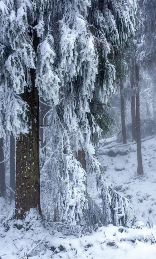 20元钱买桶雪？不如去成都周边的“冰雪世界”疯耍！