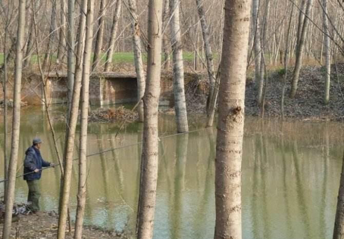 五至八度的冬天，到底还能不能钓到鲢鳙