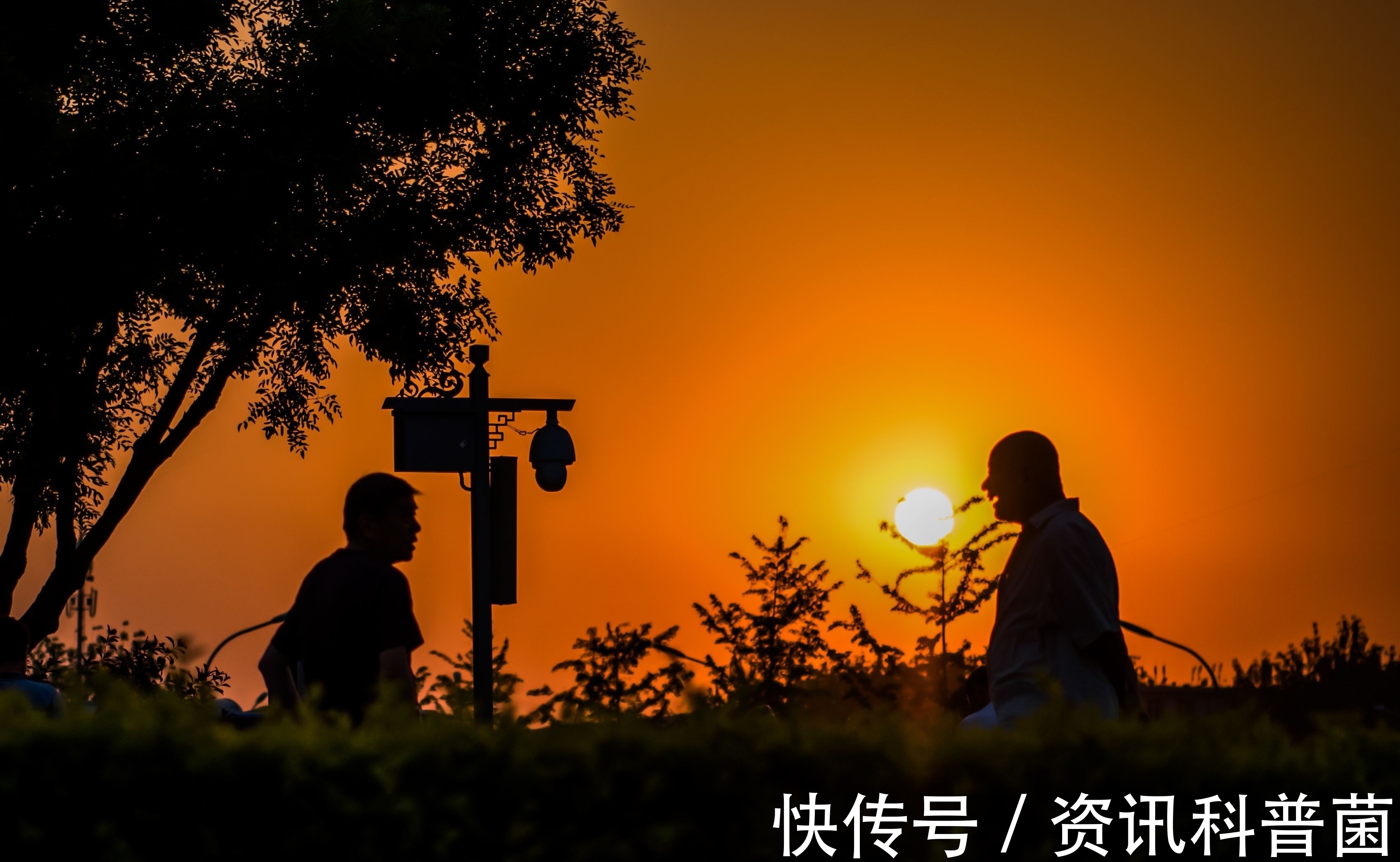 七言绝句#什么是“僵诗”?举例谈谈追求辞藻而无真情实感的诗有无必要存在