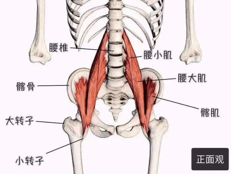 医生|冬天到，腰痛闹！松江医生教你如何防治