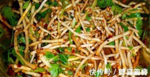 代茶饮|鱼腥草对人体究竟有什么作用呢？这里告诉你答案！