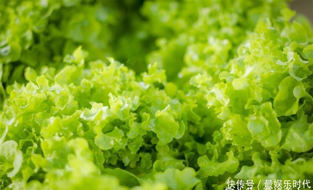 口臭经久不散是什么原因引起的?我们又如何消除口臭呢!