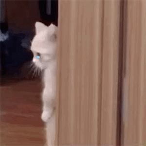 教育家|孩子扁头是福相？给孩子睡扁头真的科学吗？