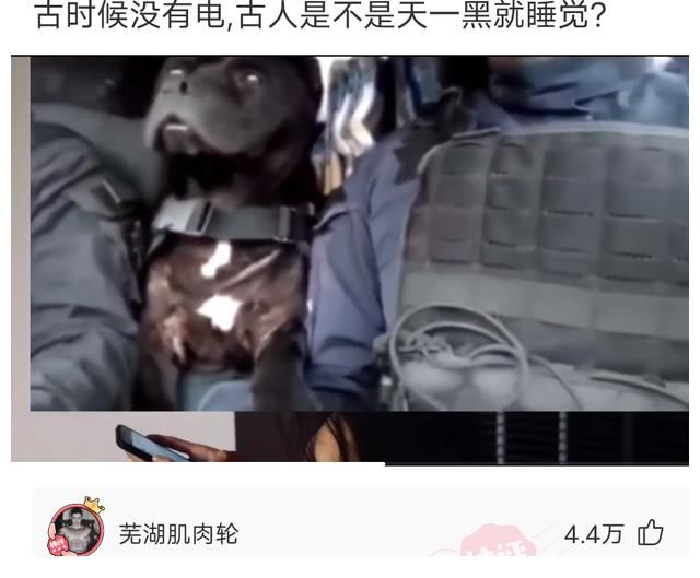 电影|神回复：如果把吴亦凡案件拍成电影, 哪个导演来拍最合适 电影叫什么名字好