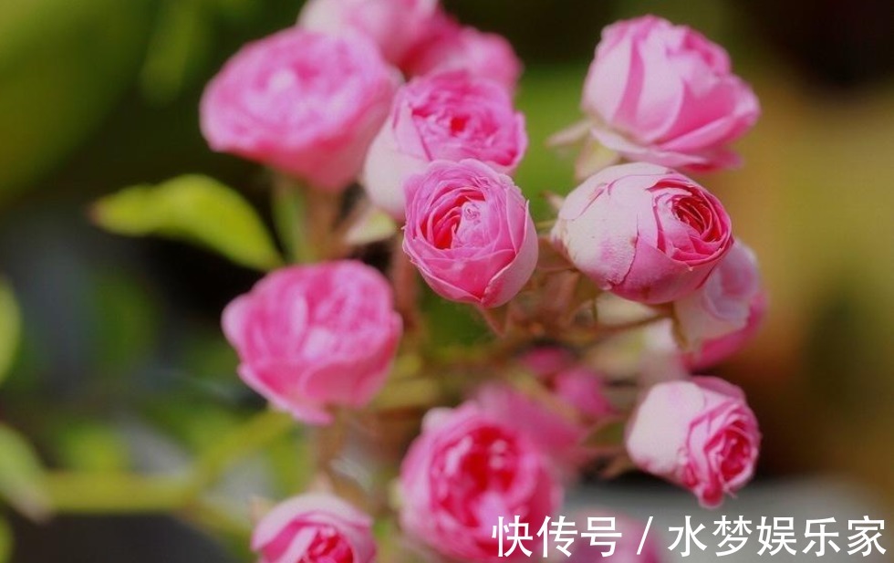 婚得|老祖宗说“一家不容三姓人”,分别是哪“三姓”,结了婚得看看