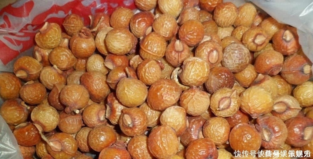 人稱“鬼見愁”，長得酷似龍眼，果肉能當肥皂用，種子能做手鏈