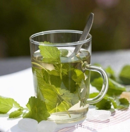 冬季咳嗽久咳难愈?常用此物泡水,清热解毒,治感冒,冬天不咳嗽