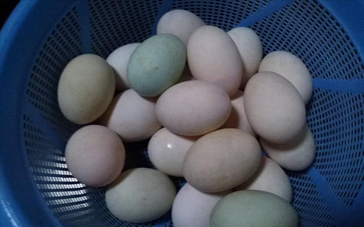 腌咸鸭蛋，不泡盐水不裹泥巴，教你一个新式腌法，个个流油起沙