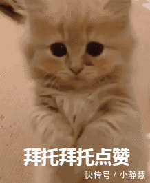 干净|泡木耳,10个人9个错,饭店厨师长教你一招,泡的又快又干净