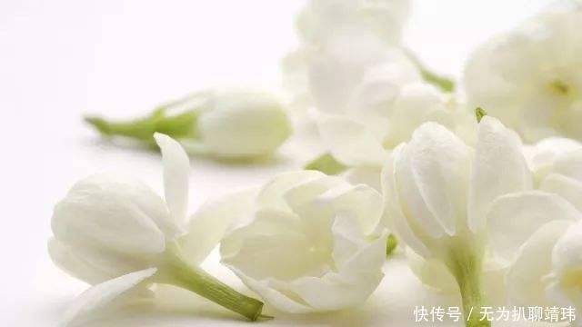 原因|慈禧70岁仍旧容颜不改，原因很简单，她常常品尝这三种花