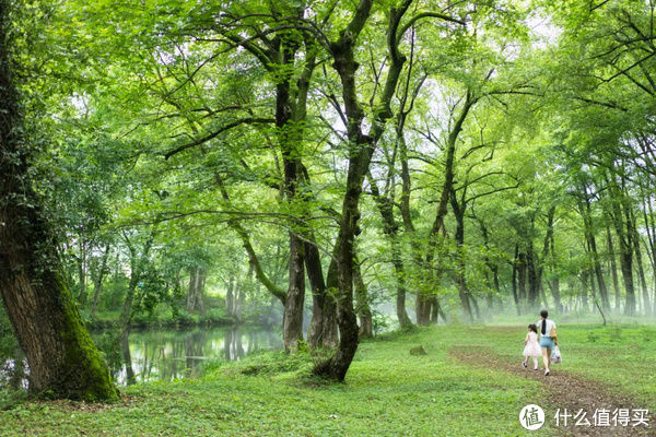 西溪南|这家黄山下的徽派古宅，比美术馆更好出片