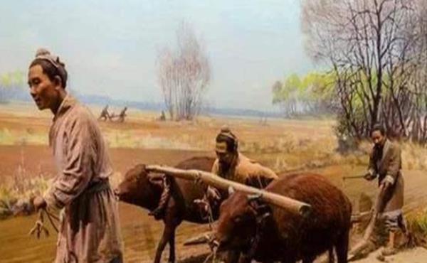 俗语|俗语“有福之人两腿毛,无福之人毛两腿”,老祖宗的识人术