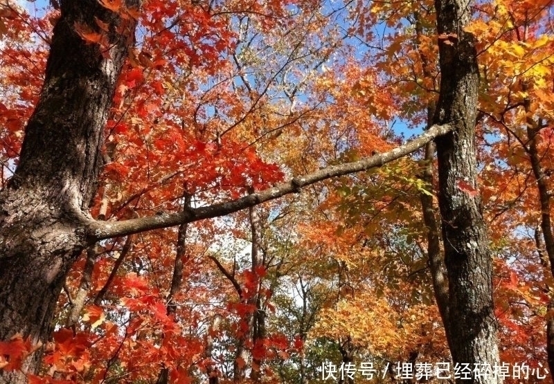 19张你能盯着看超过1分钟的惊奇照片,让你发现世界的奇妙!