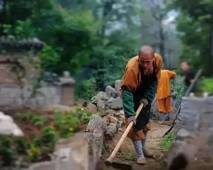  母亲|这所当年契丹人建的小寺庙，今天为何名气这么大？