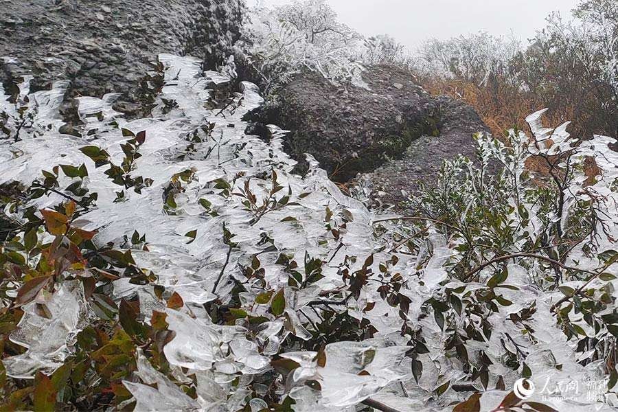 荣县东狮山|冬日美景醉游人 福建多地出现雾凇景观