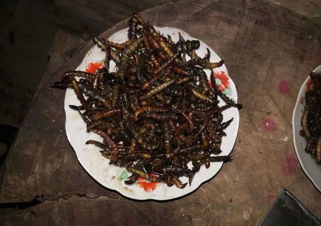 打工仔回到家乡,再钓一次故乡河里的小鱼