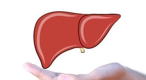 血海穴|身体自带4个“养肝处”,每天按一按,通经络排肝毒,更肝“净”