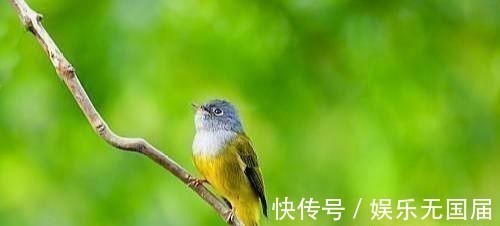 小聪明&做人不能太聪明的七种“心计”,尽早悟透,人生反而会越来越顺