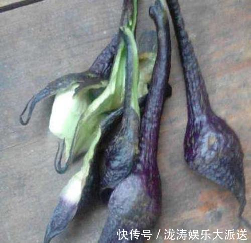 茄子蒂别再扔了,看看它这些作用,你要是扔了就浪费了