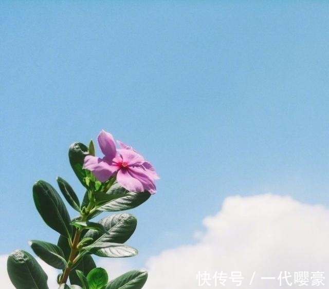 |幽默小句子，皮到没朋友