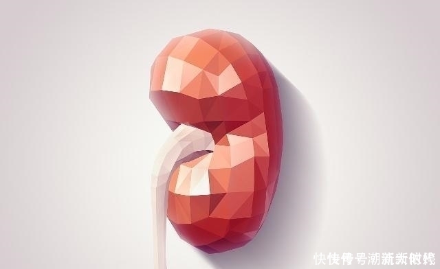 菊花茶|枸杞加“一物”泡水,连喝3天,或许肾补满了,肝也变“干净”