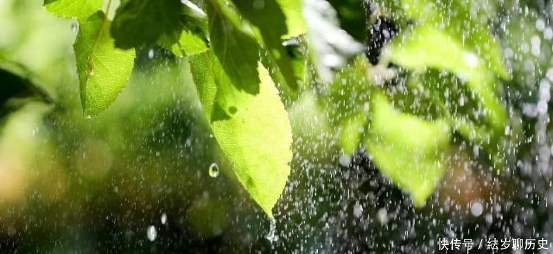 刘伯温的这首七绝咏雨诗,也是难得的佳作,整首诗充满了诗情画意