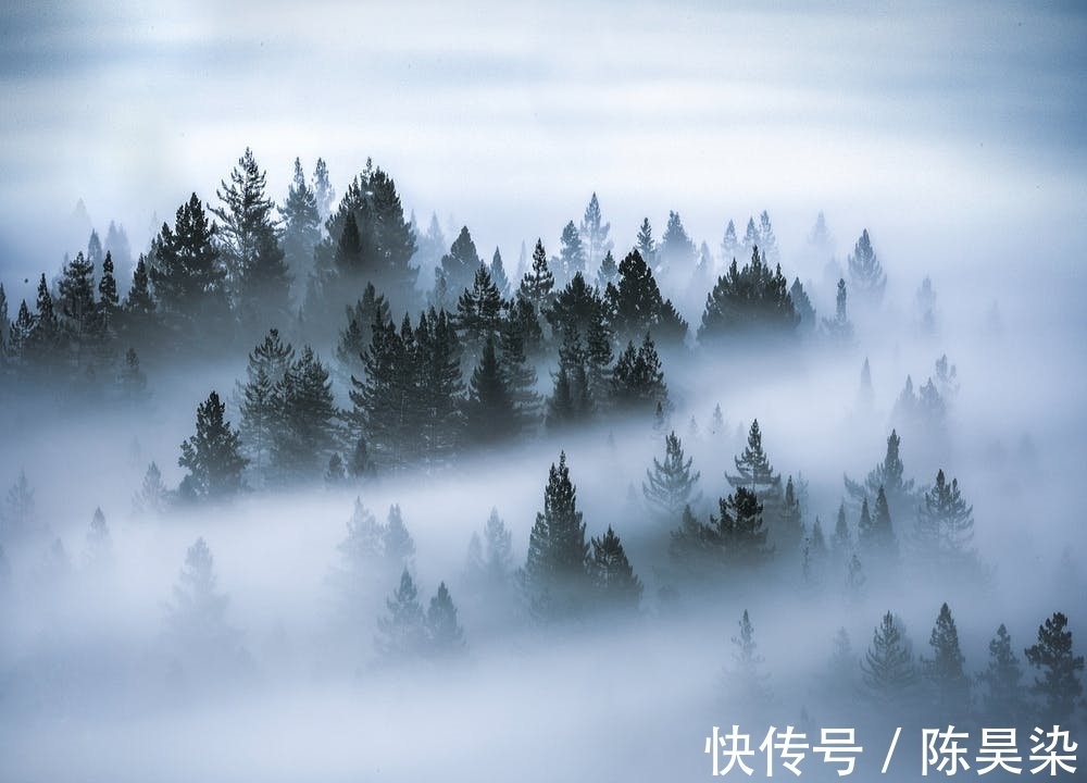 陆鸿渐$两首寻隐不遇诗:没有遇见,就是最好的遇见