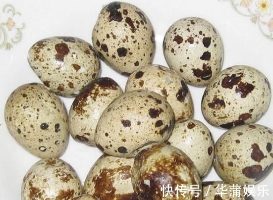 营养价值|鹌鹑蛋好吃,却不能乱吃,吃鹌鹑蛋有1大禁忌,还有人啥也不明白