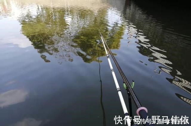 钓鱼|大鲫鱼藏在哪这5个地方都是鱼窝,看你错过了多少鱼