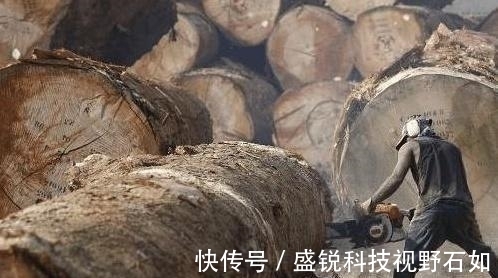 板子|带大家认识“灌了钢筋和水泥”的千斤实木大板，你还会上当吗？