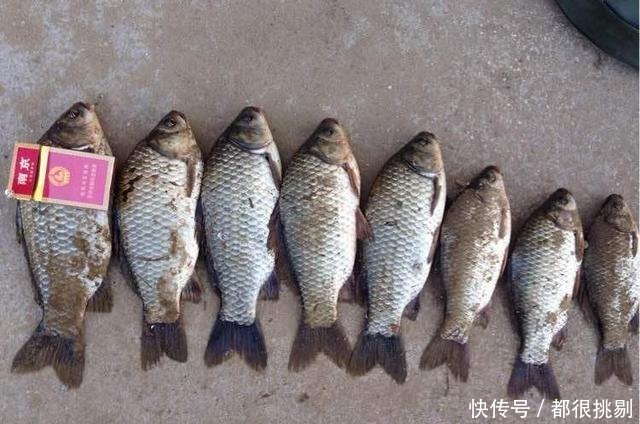 冬季这两种天气钓鱼,90%会空军,而这种天气钓鱼会爆护