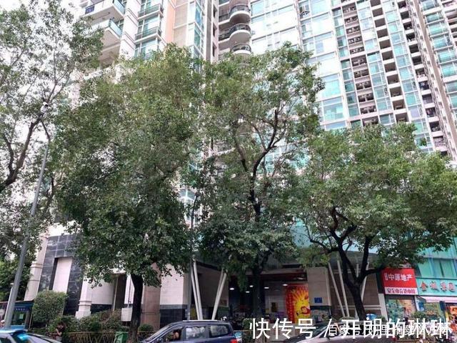 竞买人|广东省深圳市一87平房产将拍卖,以432万元起拍