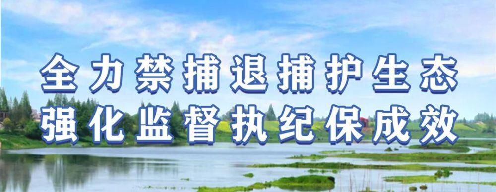  萨克斯|萨克斯演奏让退休职工生活“乐”起来