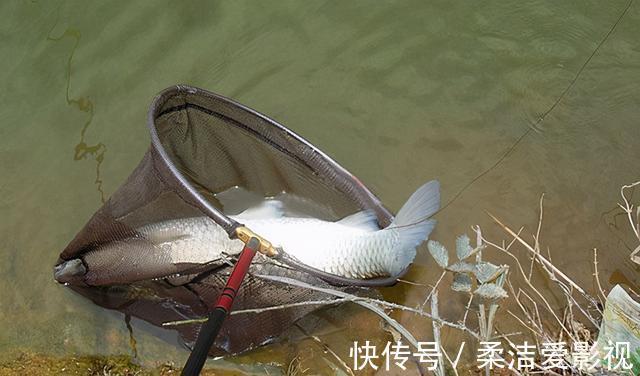 钓浑|跟着口诀找鱼道，眼神不差就一定找得到