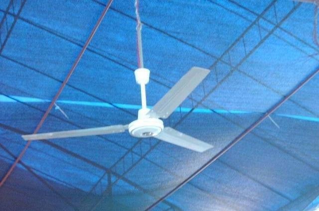 闹市区|图片记忆怀念在成都闹市区看川剧的日子