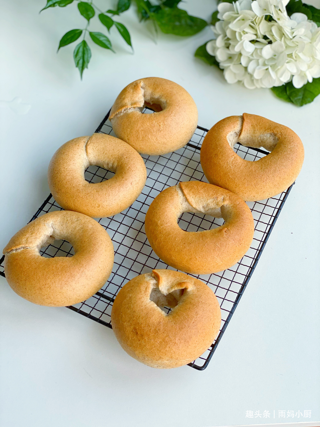 做法超简单的全麦贝果，无需二发容易上手，低脂健康的主食面包